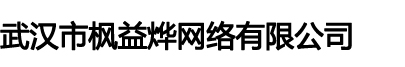 武汉市枫益烨网络有限公司